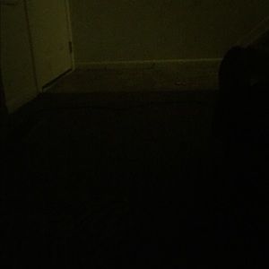 Meet your Posher, Steve