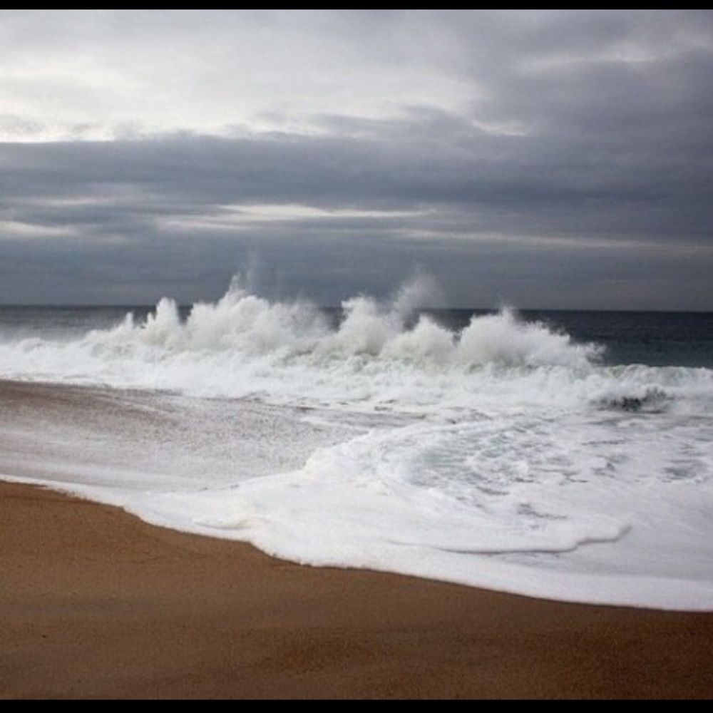 Meet your Posher, Sienna