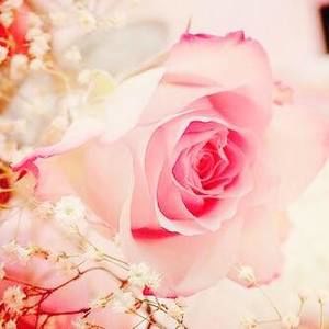 Meet your Posher, Blanca r