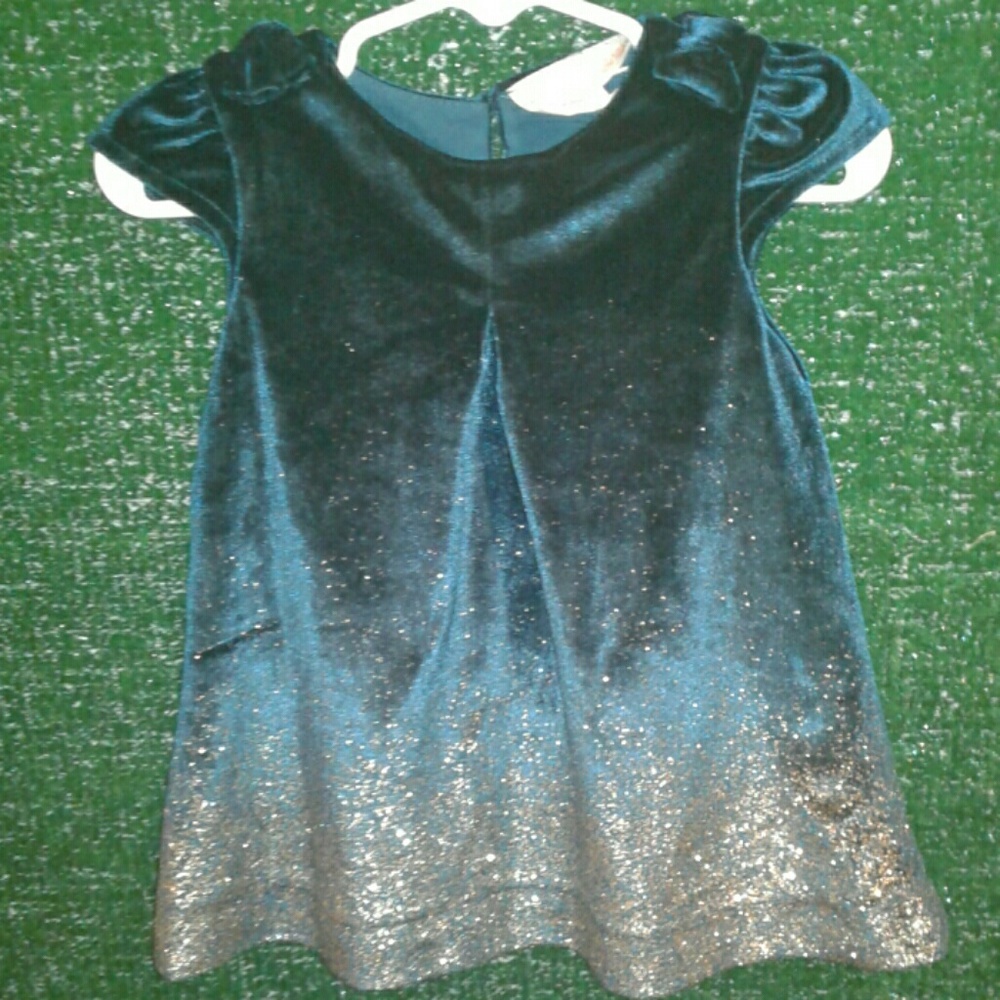 Brand new Zara babygirl velvet dress