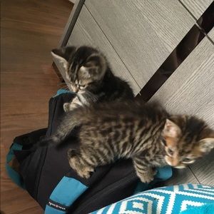 Meet your Posher, Alex