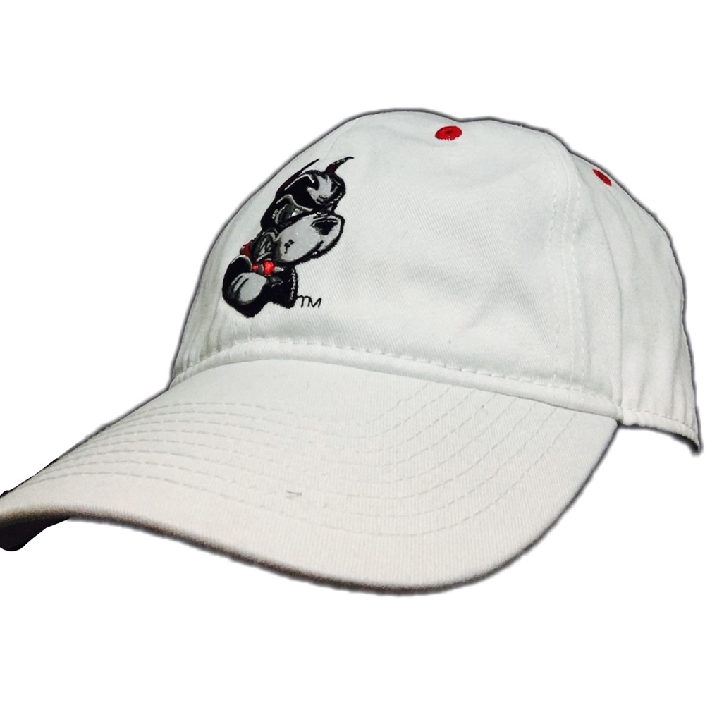 Boston University Terrier Hat