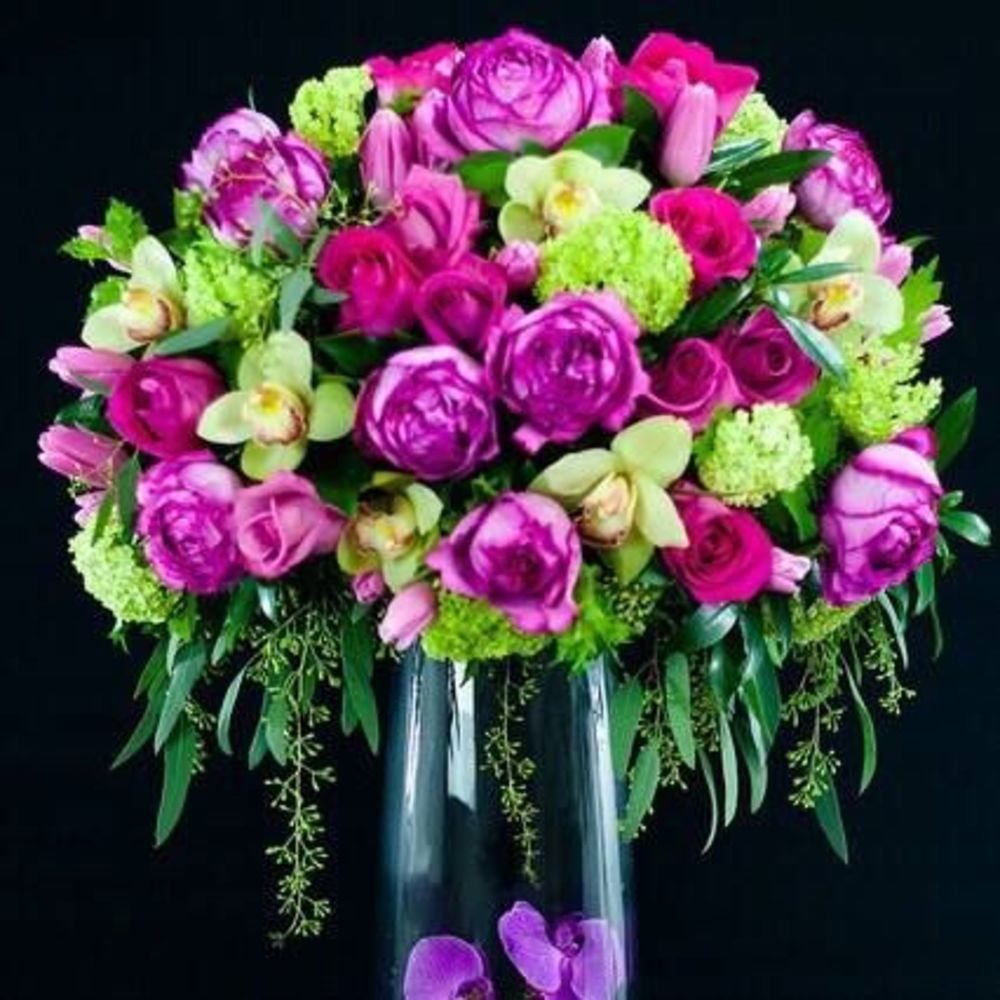 Meet your Posher, Amber