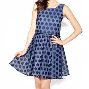 Betsey Johnson Blue Polka Dot Overlay Dress