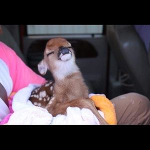 Meet your Posher, Kelsey