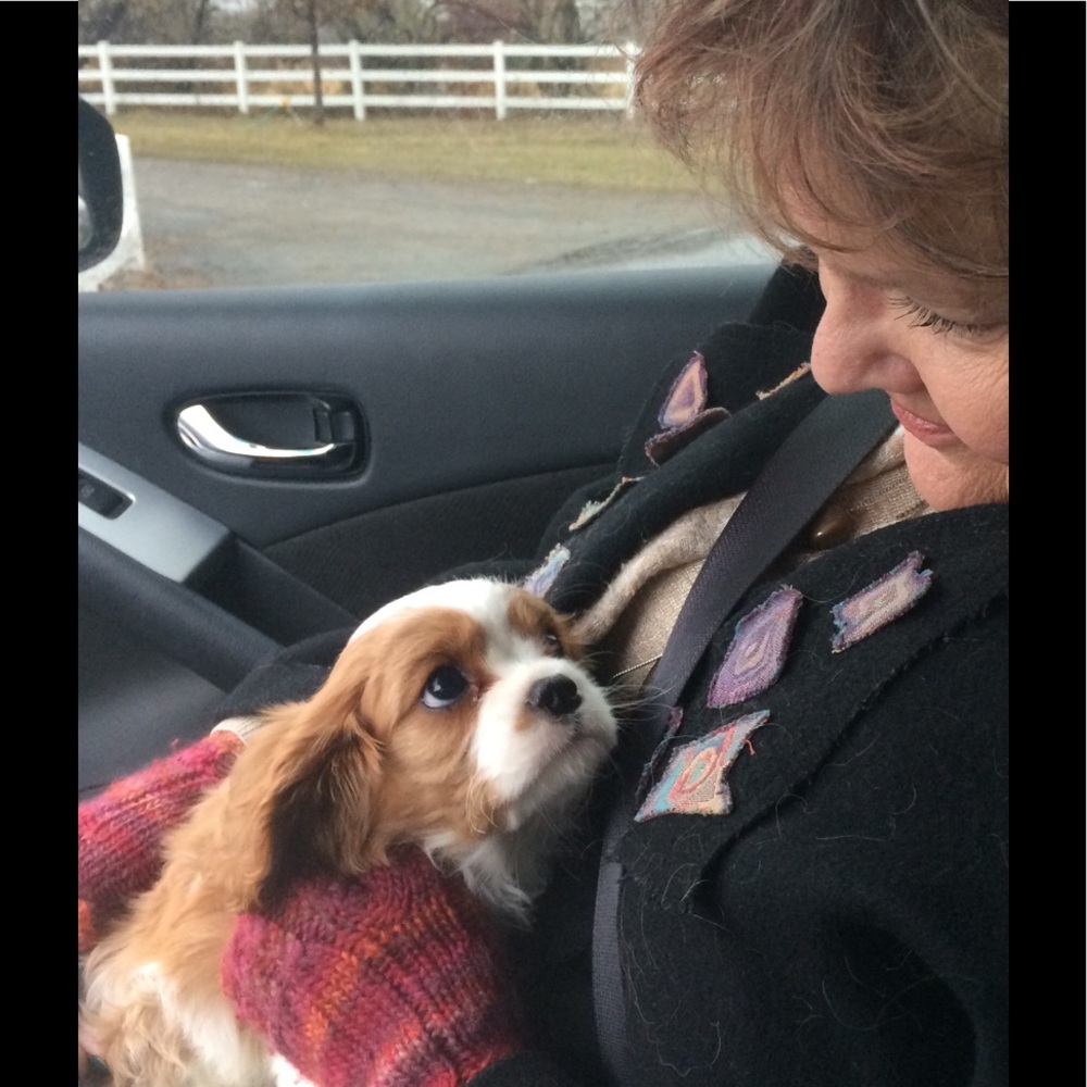 Meet your Posher, Joni