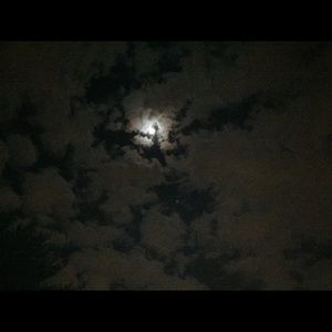 Meet your Posher, Sophia