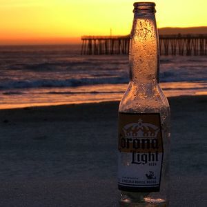 Meet your Posher, Patti