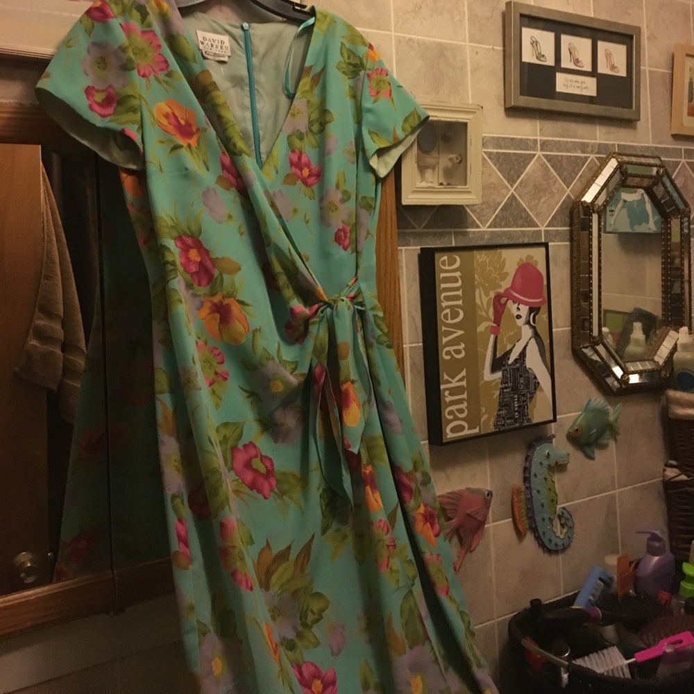 David warren dress