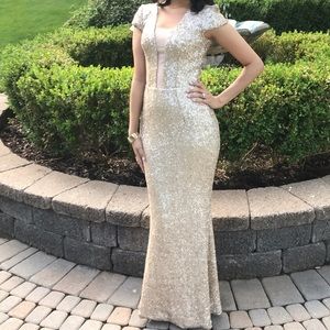 Dress the Population Michelle Sequin Gown