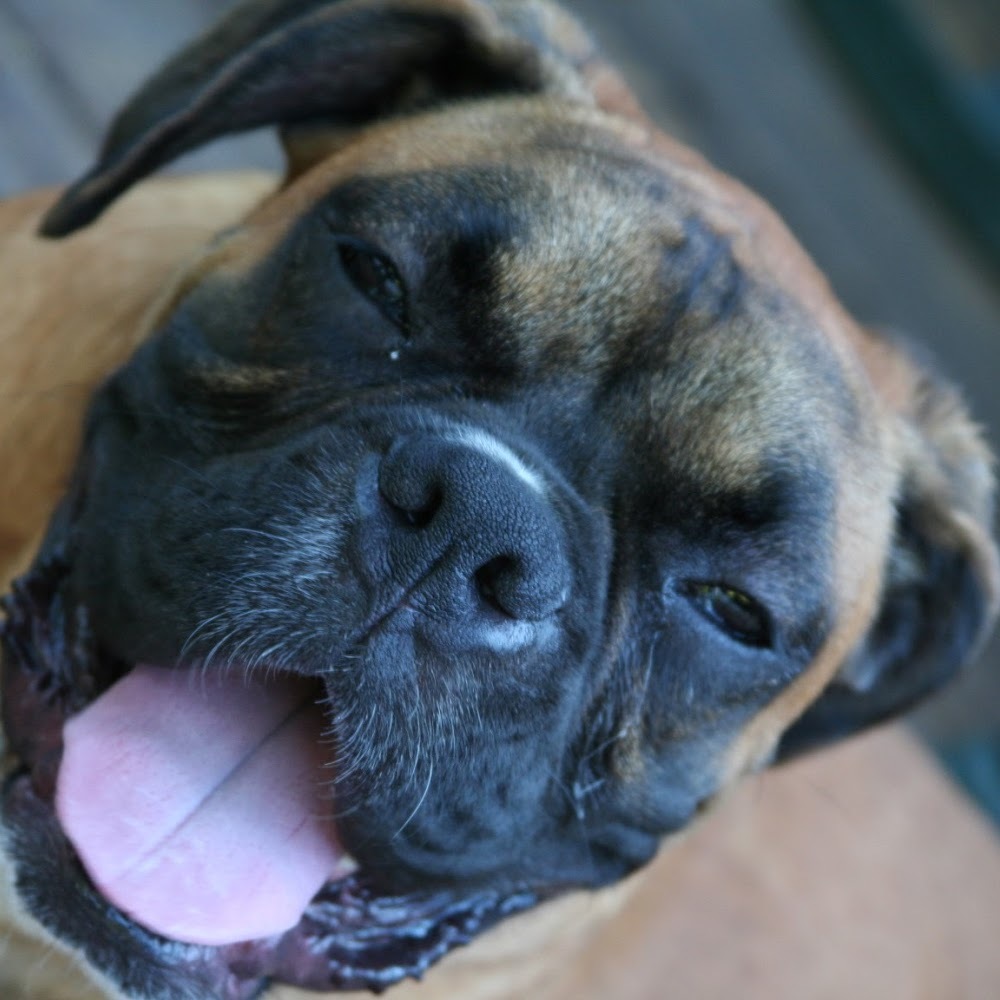 Meet your Posher, Karen