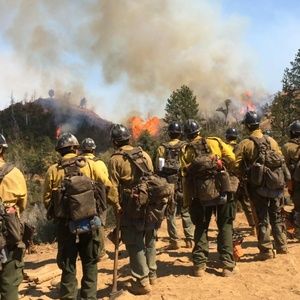 Meet your Posher, Tommy