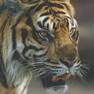 Meet your Posher, Cathy