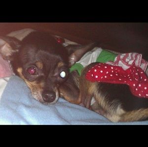 Meet your Posher, Wendy