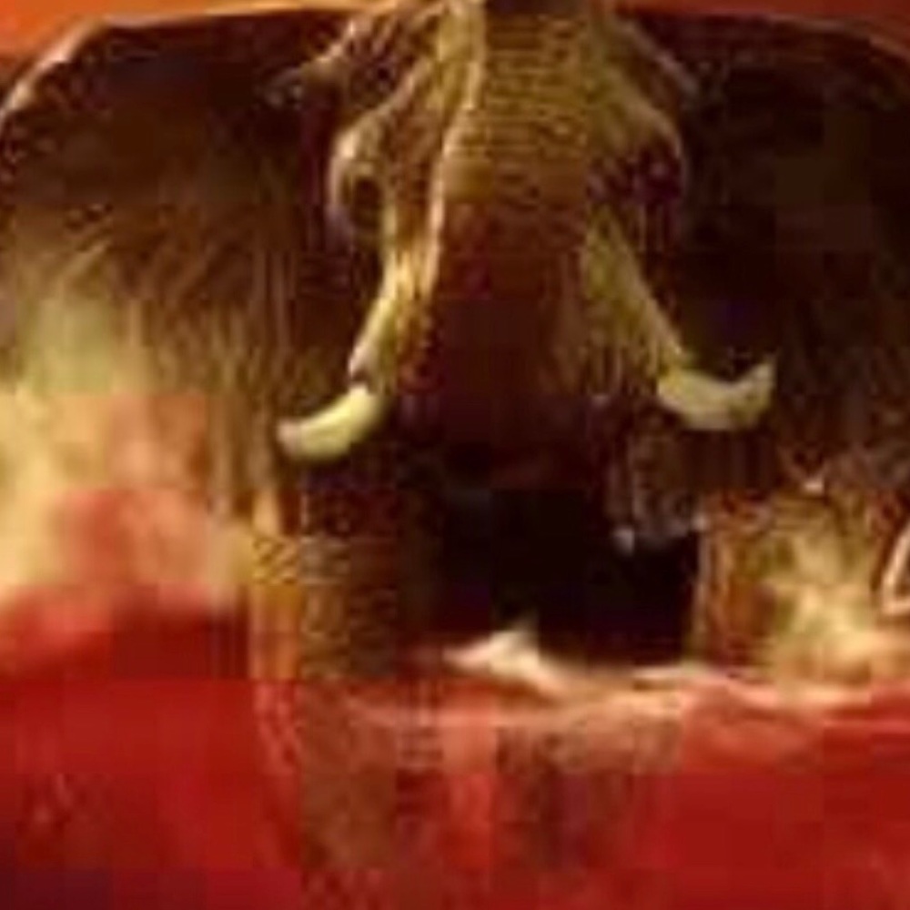 Meet your Posher, Mary