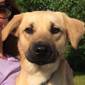 Meet your Posher, Jaymie