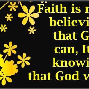 Meet your Posher, Gail