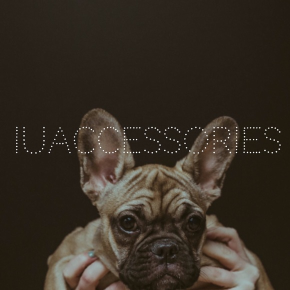 Meet your Posher, Aida - Picture 2 of 2