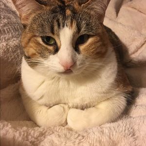 Meet your Posher, Sandra