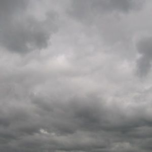 Meet your Posher, Bryce