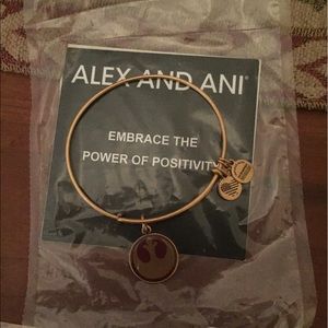 Alex and Ani Disney's Rebel Alliance bracelet