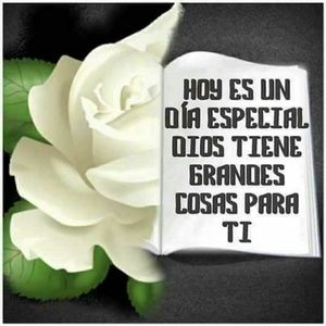 Meet your Posher, Arelis