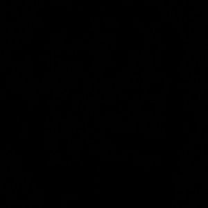 Meet your Posher, Regena