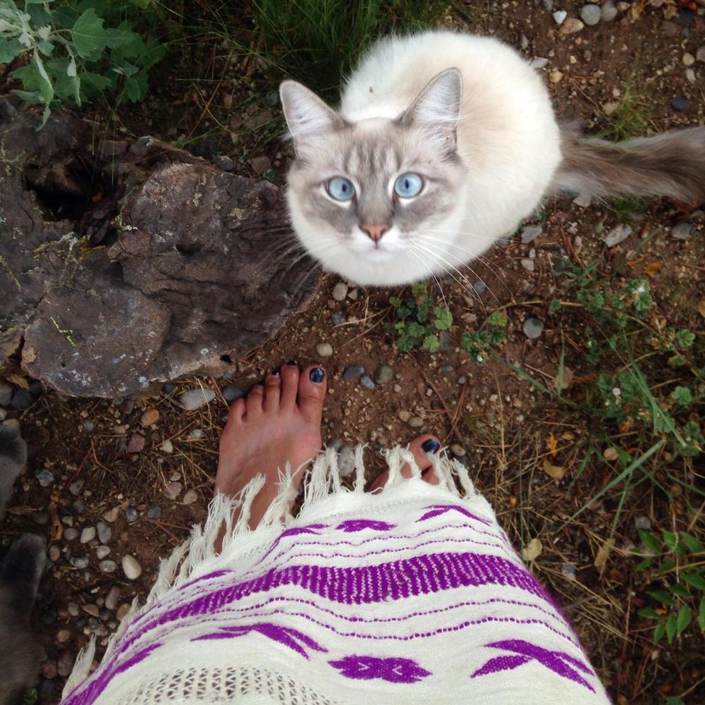 Meet your Posher, Barbara