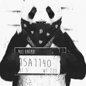 Meet your Posher, Nathaniel