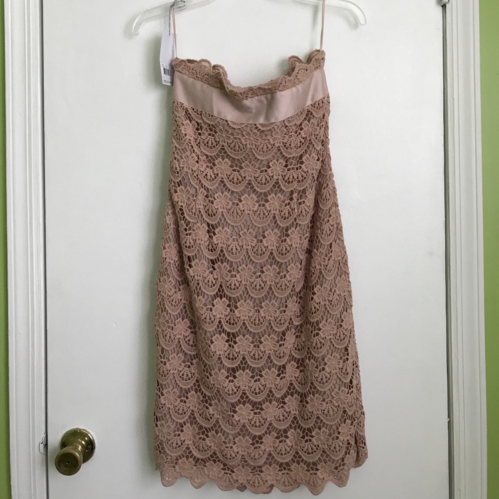 🆕 Philosophy Di Alberta Ferretti Lace Dress