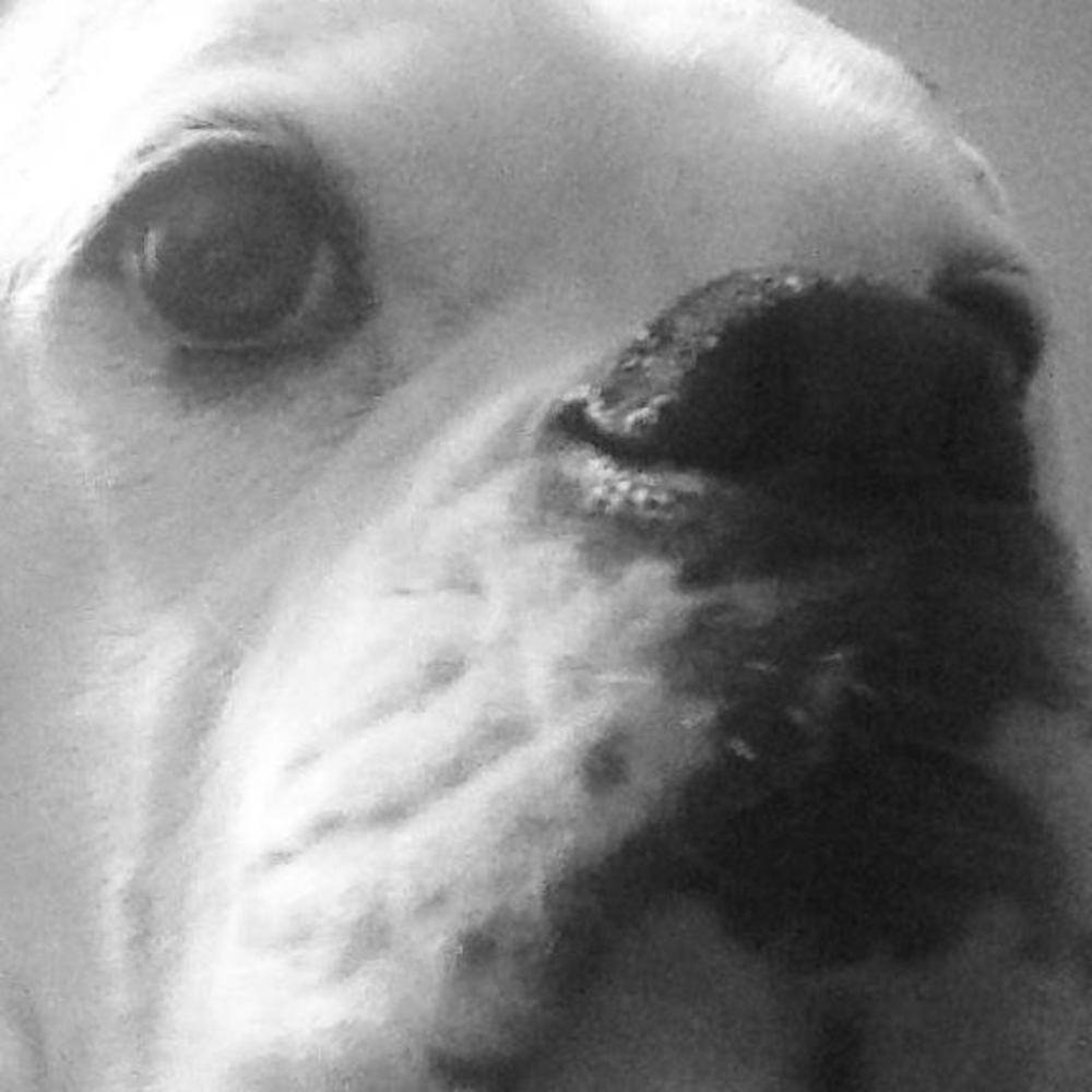 Meet your Posher, Barb