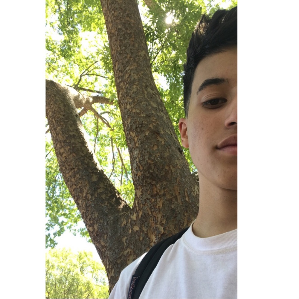 Meet your Posher, Roman