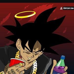 Meet your Posher, Rollie