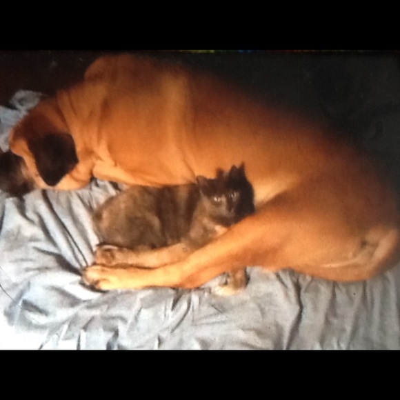 For a SWEET DEAL - Picture 6 of 8