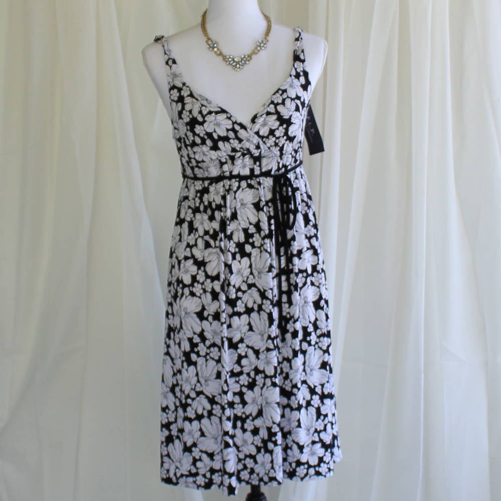 F. L. P. Dress