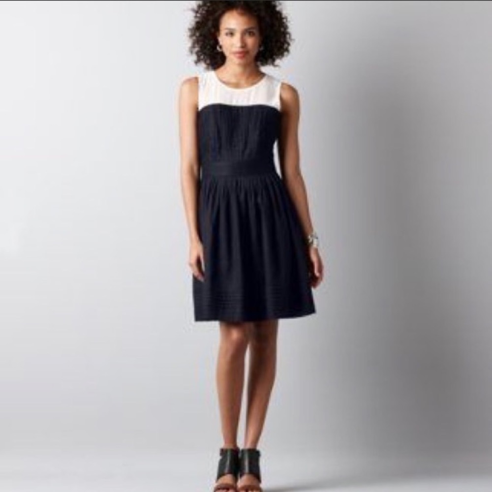 Loft Navy Pleated Dress