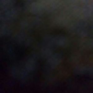 Meet your Posher, Beyonce