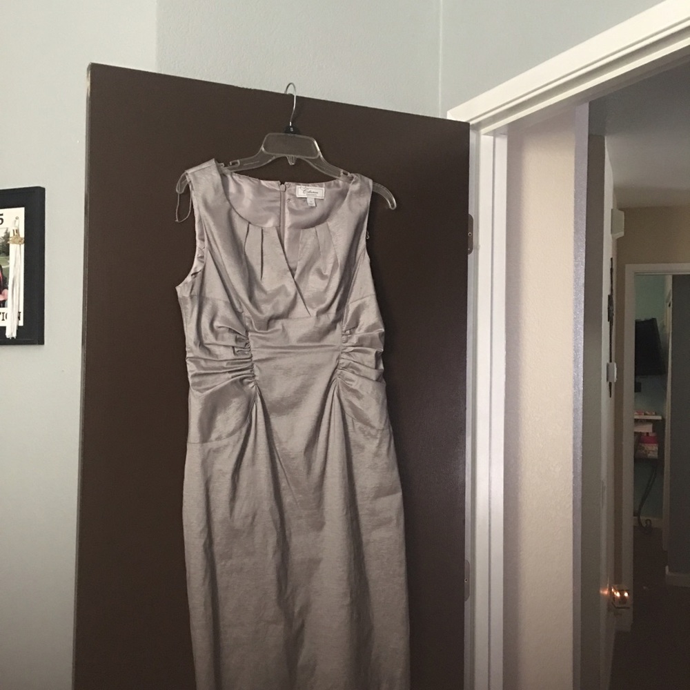 Dressbarn dress size 12