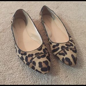 Calvin Klein leopard flats