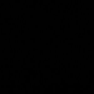 Meet your Posher, Lili