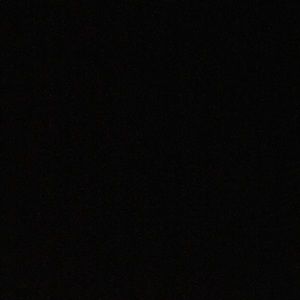 Meet your Posher, Ricky