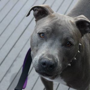 Meet your Posher, Ayesha