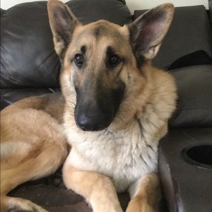 Meet your Posher, Kylie