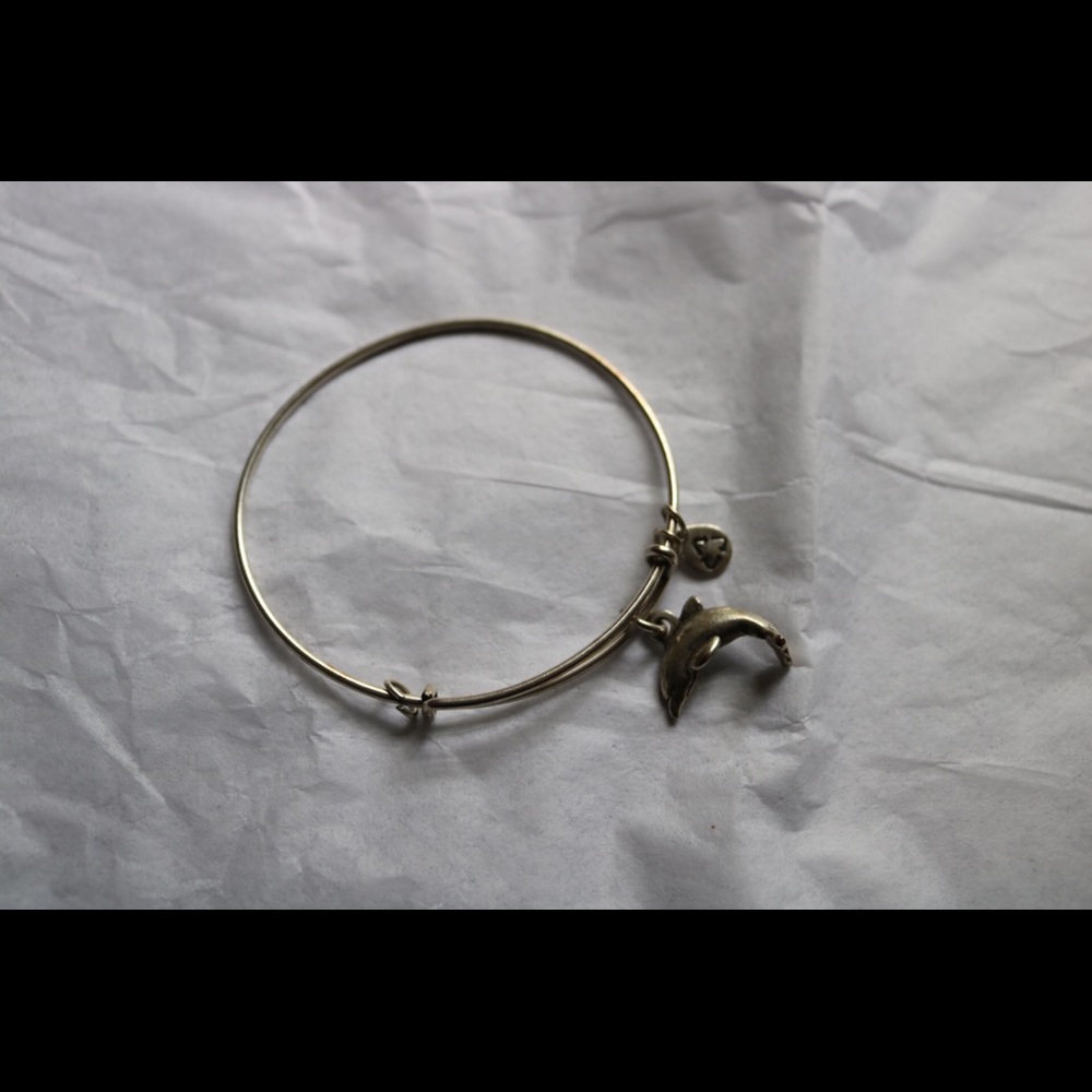 alex & ani dolphin bangle