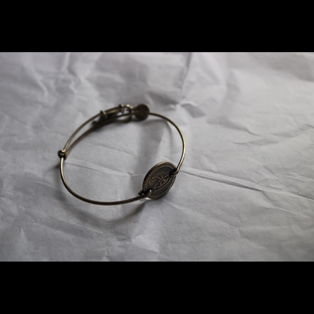 alex & ani eye of horus bracelet
