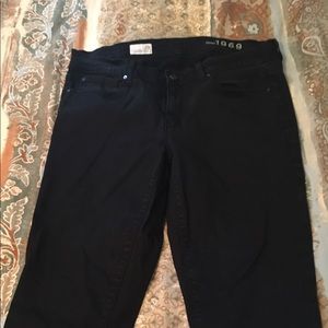 GAP 1969 "Legging Jean"