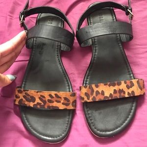 Size 12 torrid sandals