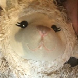 Meet your Posher, Deb