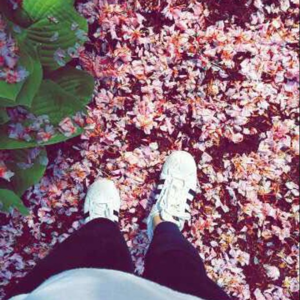 Meet your Posher, Faby