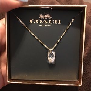 Authentic Coach necklace and earring set!